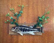 Taxidermy fish large for sale  Naugatuck