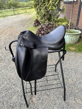 Prestige helen dressage for sale  Bellevue