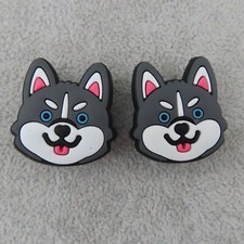 Siberian husky dog for sale  Brighton