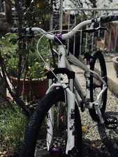 Specialized dirt jump gebraucht kaufen  Nürnberg