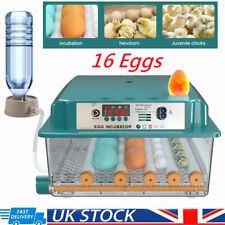 16eggs egg digital for sale  MANCHESTER