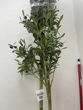 Artificial olive tree for sale  MANCHESTER