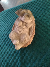 Realistic miniature schnauzer for sale  Hutchinson