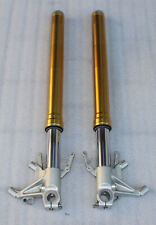 Aprilia tuono 1000 gebraucht kaufen Aprilia tuono 1000 gebraucht kaufen  Dotternhausen