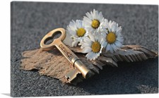 Artcanvas key chamomile for sale  Niles