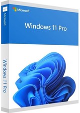 Microsoft windows pro gebraucht kaufen  Hiddenhausen