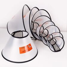 Collerette protection chien d'occasion  Les Andelys