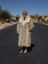 Unisex real coyote for sale  Las Vegas
