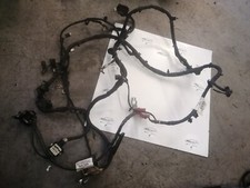 Ford focus harness for sale  BEVERLEY