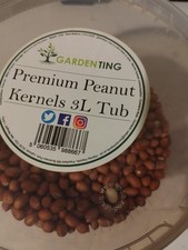 Redskin peanuts bird for sale  BURFORD