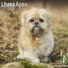 Calendrier 2025 lhassa d'occasion  Troyes