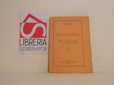 Falconeria trocchi dino usato  Italia