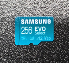 Cartão Micro SD Samsung Evo 256GB 130MB/s - Apenas cartão, sem adaptador - TESTADO comprar usado  Enviando para Brazil