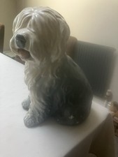 China dulux dog for sale China dulux dog for sale  WIRRAL