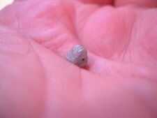 Rare diamant naturel d'occasion  Nantes-