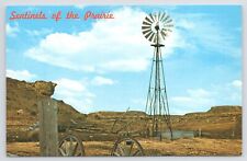 Sentinels prairie windmill for sale  Newton