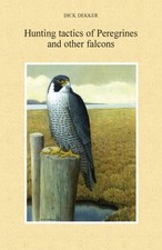 Hunting tactics peregrines for sale  DERBY
