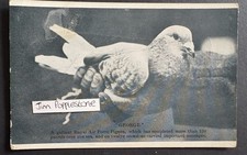 Ww2 george raf for sale  SOUTHAMPTON