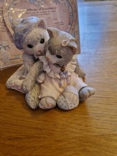Calico kittens for sale  CROOK