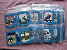 show jumping horses for sale show jumping horses for sale NEWBURY