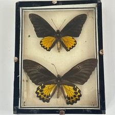 Antique french black for sale  LONDON