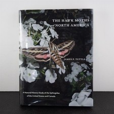 Hawk moths north for sale Hawk moths north for sale  Shipping to United Kingdom