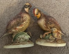 Andrea sadek bobwhite for sale  Newnan