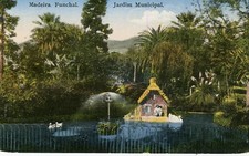 Cartão postal antigo de Portugal Funchal - Jardim comprar usado  Enviando para Brazil