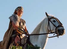 Photo wonder woman d'occasion  Limoges-
