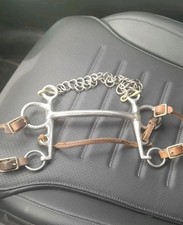 Old horse for sale  NOTTINGHAM