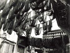 Old photograph 1968 d'occasion  Expédié en Belgium