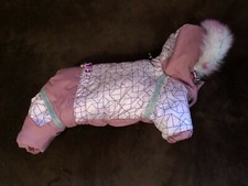 Dog puppy winter for sale  Vancouver