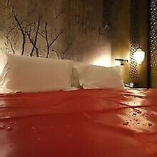 Pvc sex bettlaken gebraucht kaufen  Euskirchen