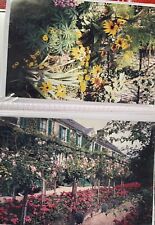 Photo album monet for sale  Baltimore