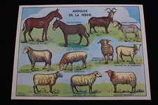 R198 affiche scolaire d'occasion  Péronnas