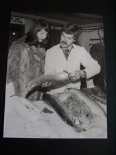 Fishmonger showing scottish for sale  SWANSEA