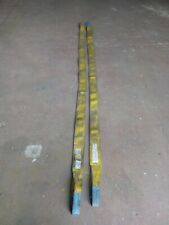 Fascia per sollevamento usato  Venegono Superiore