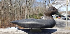 1930 black duck for sale  Southampton