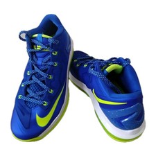 Max lebron low gebraucht kaufen  Friedberg (Hessen)