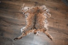 lynx pelt for sale lynx pelt for sale Layton