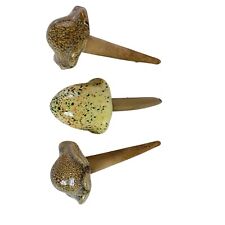 Fairy mushroom garden for sale  Warren
