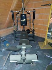 Fitnessgeräte kraftstation gebraucht kaufen  Nürnberg