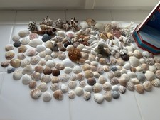 Maritimes deko leuchtturmregal gebraucht kaufen  Stadthagen