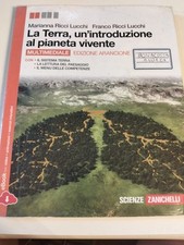 Ricci lucchi terra usato Ricci lucchi terra usato  Noviglio