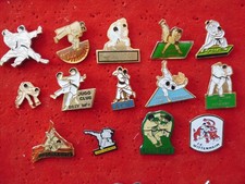 Lot pin judo d'occasion  Braine