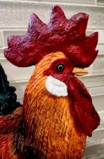 chickens cockerels for sale chickens cockerels for sale Punta Gorda