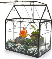Large tall plant for sale  Jersey City