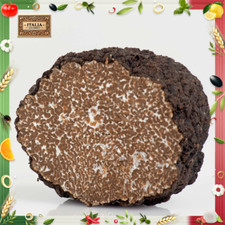 Tartufo nero estivo usato  Sesto Fiorentino