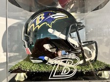 Baltimore ravens fullsize gebraucht kaufen  Dresden