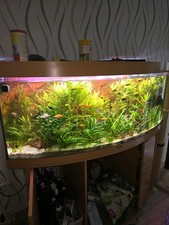 Juwel aquarium vision gebraucht kaufen  Bad Driburg